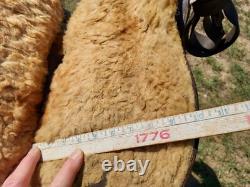 Vintage R. T Frazier Pueblo Colo. High Back Buckaroo Western Saddle 14½ seat