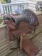 Vintage Tooled Leather Horse Saddle Cowboy Brand Western Usa