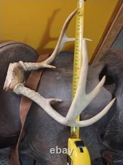 Vintage Tooled Leather Western Saddle Floral Design/ Hat/ Boots/Horns