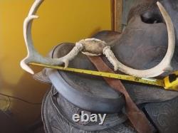 Vintage Tooled Leather Western Saddle Floral Design/ Hat/ Boots/Horns