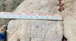 Vintage Toomeys Lewistown Mont. Western Saddle 14 seat