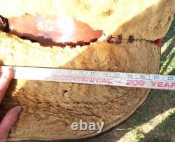 Vintage Walter L. Newell St. Louis Mo. Round Skirt Western Saddle 14 Seat