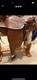 Vintage Western Horse Saddle 15 1/2inch Seat & 7 Inch Gullet