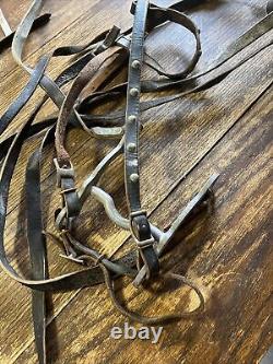 Vtg Western Studded Tooled Parade Saddle Youth Pony 12 Breast Collar Bridle