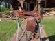 Western Leather Horse Saddle 17 Inch