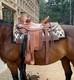 Western Leather Horse Wade Roper Ranch Saddle Tack Set 14 To 18 Free Shipping
