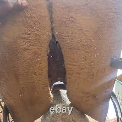 Western Leather Pleasure/Trail Saddle, Brown Traditional 16 in for Horse