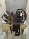 Western Leather Show Saddle With Silver Corner And Conchos All Size