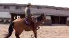 Western Riding Cowboy 7 My Horse Wisdom On The Run