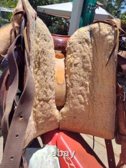 Western Saddle Diablo stirrups