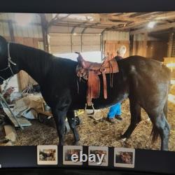Western Saddle Diablo stirrups
