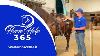 Western Saddle Fit Horse Help Michael Gascon