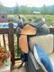 Western Saddle From A Well Know Brand Size 17 In Good Condition