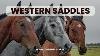 Western Saddles History Design Components