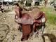 Western Trail /pleasure Ride Horse Saddle 15