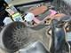 Western Trail / Pleasure Saddle