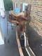 Western Utahn Saddle Co Sullivan's Saddlery