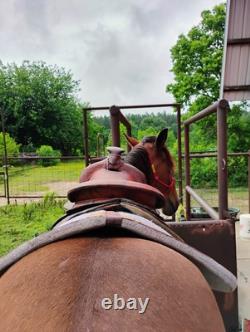 Western saddle